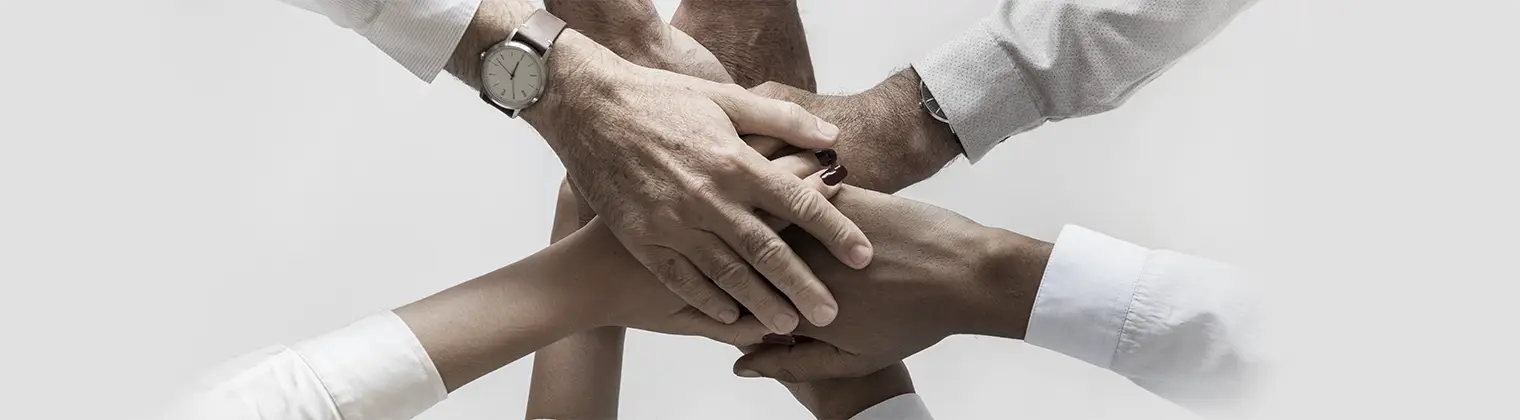 Mani che si stringono