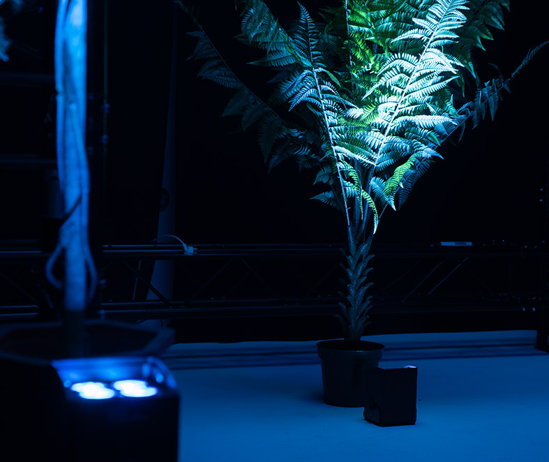 EUROLITE AKKU IP UP-4 PLUS effect image 1