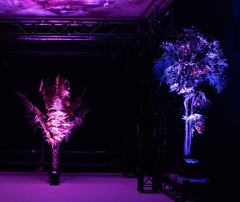 EUROLITE AKKU IP UP-4 PLUS effect image 2