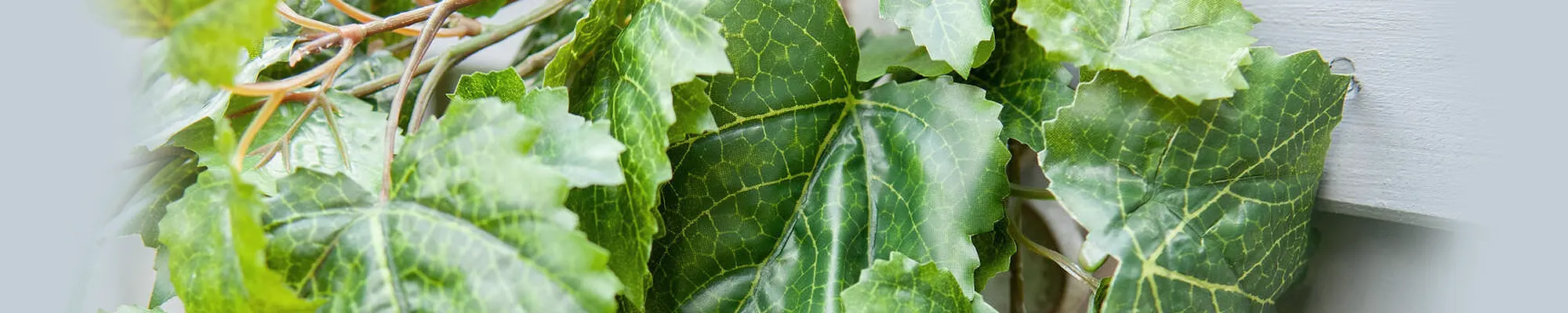 Hände greifen ineinander